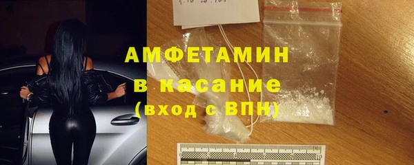 индика Арсеньев