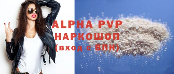 индика Арсеньев