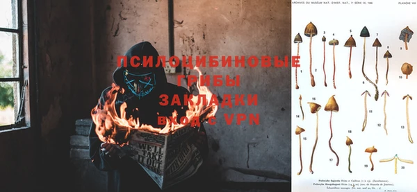 прущая мука Аркадак