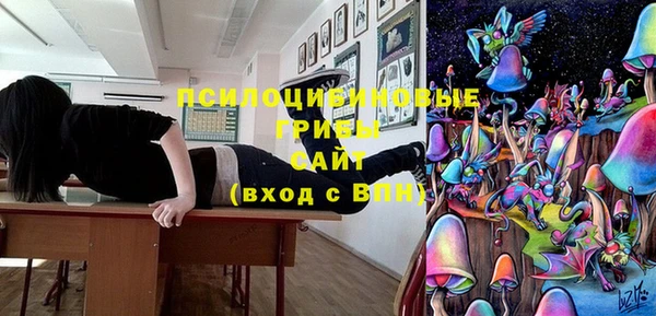 индика Арсеньев