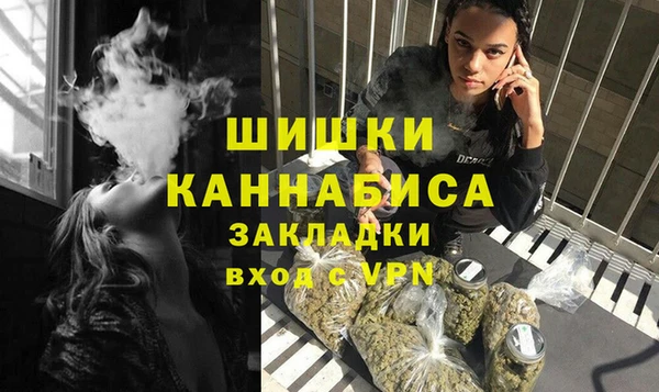 индика Арсеньев