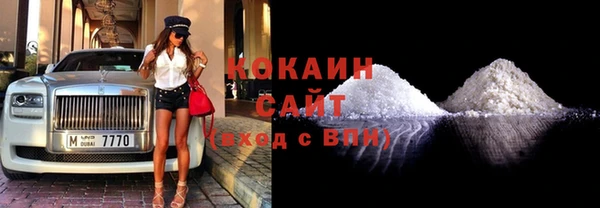индика Арсеньев