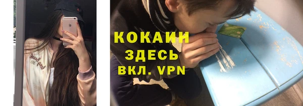 индика Арсеньев