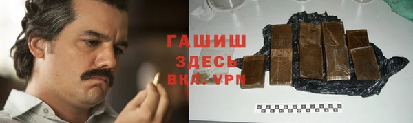 индика Арсеньев