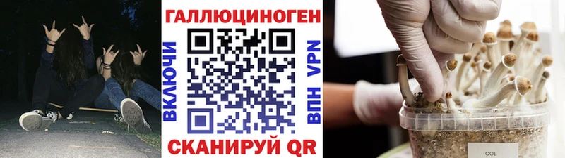закладка  Аткарск  Галлюциногенные грибы GOLDEN TEACHER 