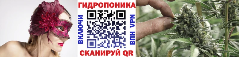 купить  цена  Аткарск  Конопля гибрид 